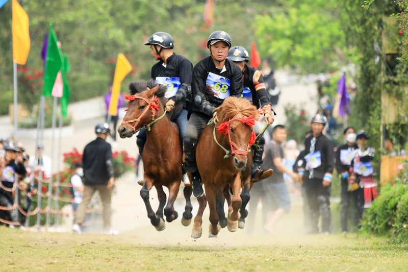 biendo Giới thiệu về đua ngựa Sapa